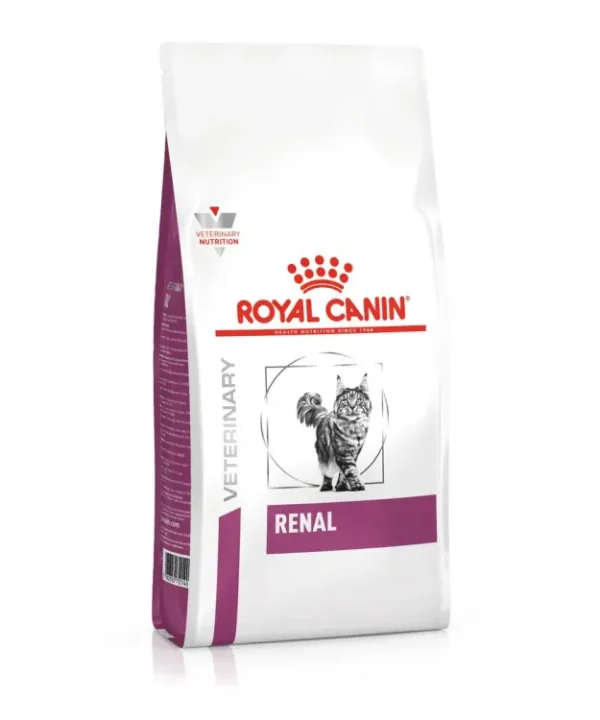 RC renal cat